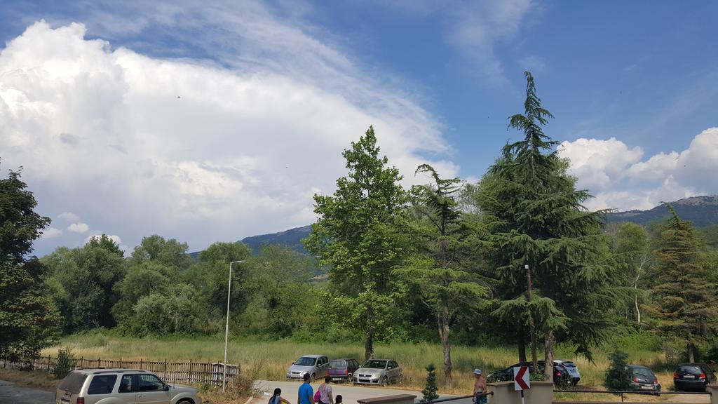 Park Beach Apartment Ohrid Esterno foto